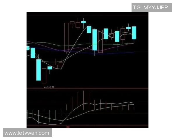 西安排球队防守策略分析与成效评估探讨 西安排球队防守策略分析与成效评估探讨