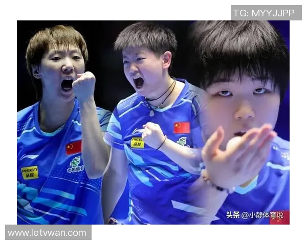 乒乓球战术排行榜揭晓深圳乒乓球队荣获第三名的背后故事