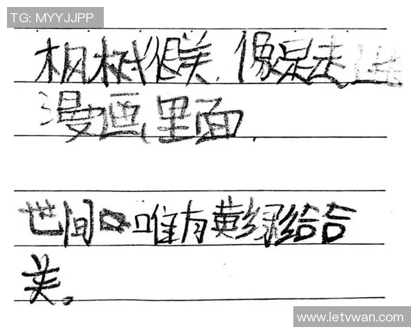 刘丽乒乓球人生的深度对话与成长历程探讨 刘丽乒乓球人生的深度对话与成长历程探讨