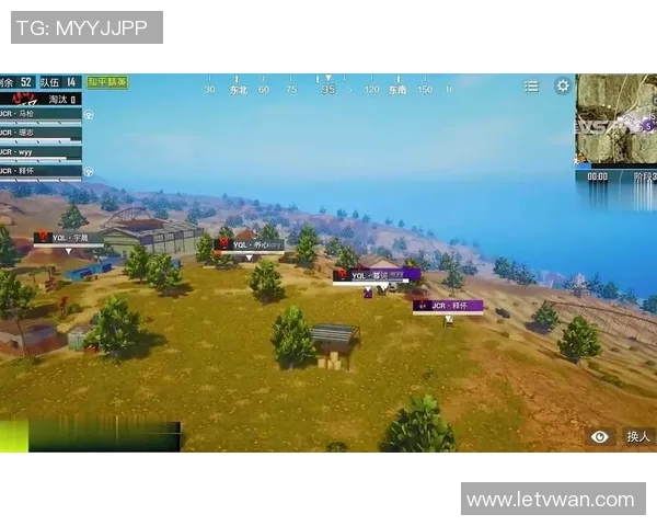 和平精英战术解析：TES战队如何构建高效反击体系与战术配合